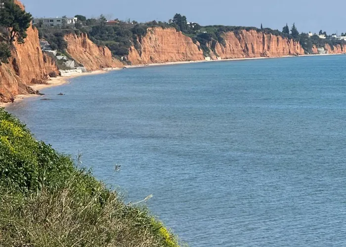 Samaras Seaside Nea Moudania